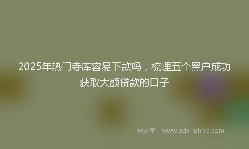2025年热门寺库容易下款吗，梳理五个黑户成功获取大额贷款的口子