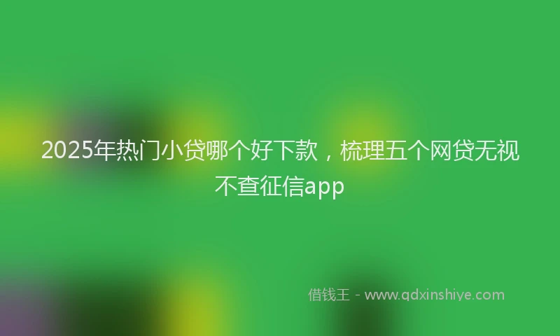 2025年热门小贷哪个好下款，梳理五个网贷无视不查征信app