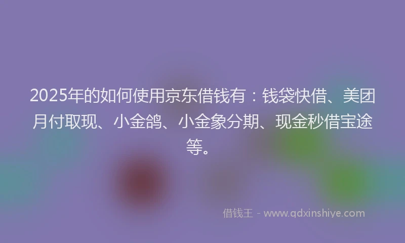 2025年的如何使用京东借钱有：钱袋快借、美团月付取现、小金鸽、小金象分期、现金秒借宝途等。