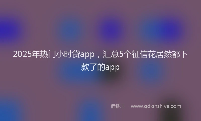 2025年热门小时贷app，汇总5个征信花居然都下款了的app