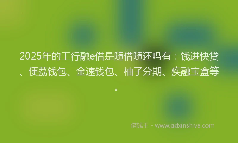 2025年的工行融e借是随借随还吗有：钱进快贷、便荔钱包、金速钱包、柚子分期、疾融宝盒等。