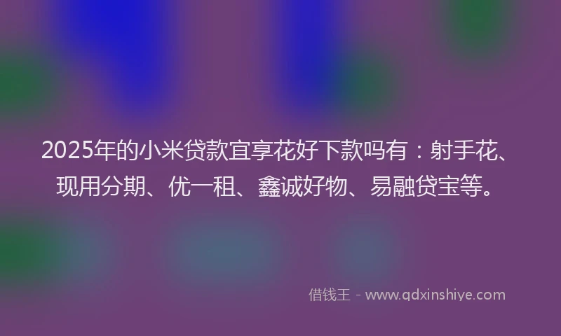 2025年的小米贷款宜享花好下款吗有：射手花、现用分期、优一租、鑫诚好物、易融贷宝等。