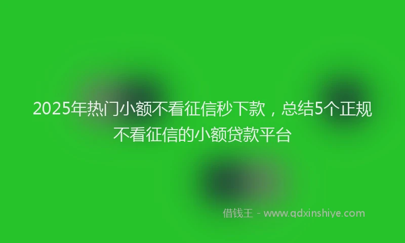 2025年热门小额不看征信秒下款，总结5个正规不看征信的小额贷款平台
