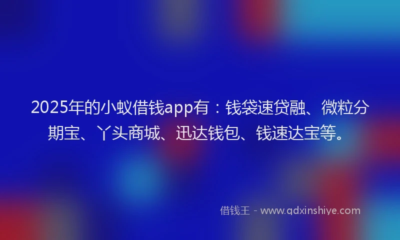 2025年的小蚁借钱app有：钱袋速贷融、微粒分期宝、丫头商城、迅达钱包、钱速达宝等。