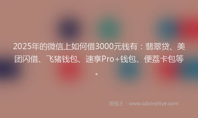 2025年的微信上如何借3000元钱有：翡翠贷、美团闪借、飞猪钱包、速享Pro+钱包、便荔卡包等。