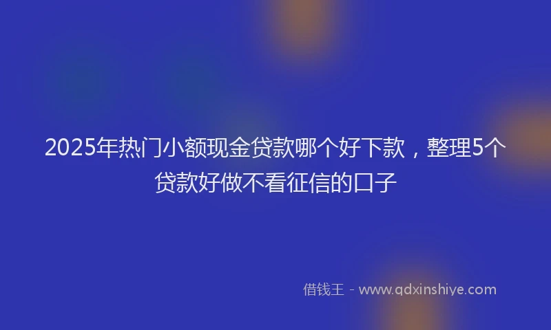 2025年热门小额现金贷款哪个好下款，整理5个贷款好做不看征信的口子