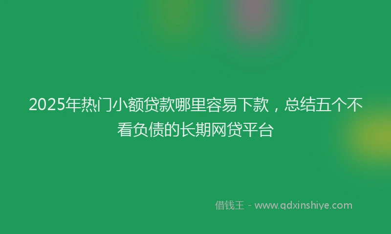 2025年热门小额贷款哪里容易下款，总结五个不看负债的长期网贷平台