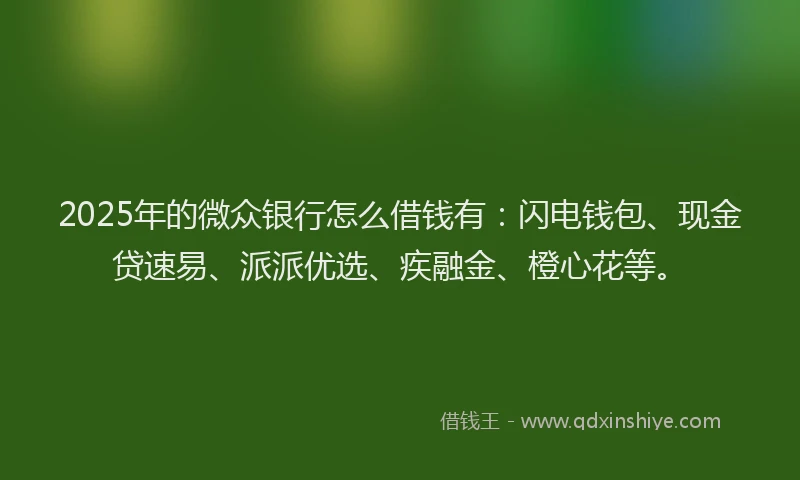 2025年的微众银行怎么借钱有：闪电钱包、现金贷速易、派派优选、疾融金、橙心花等。