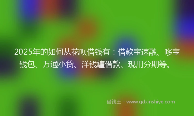 2025年的如何从花呗借钱有：借款宝速融、哆宝钱包、万通小贷、洋钱罐借款、现用分期等。