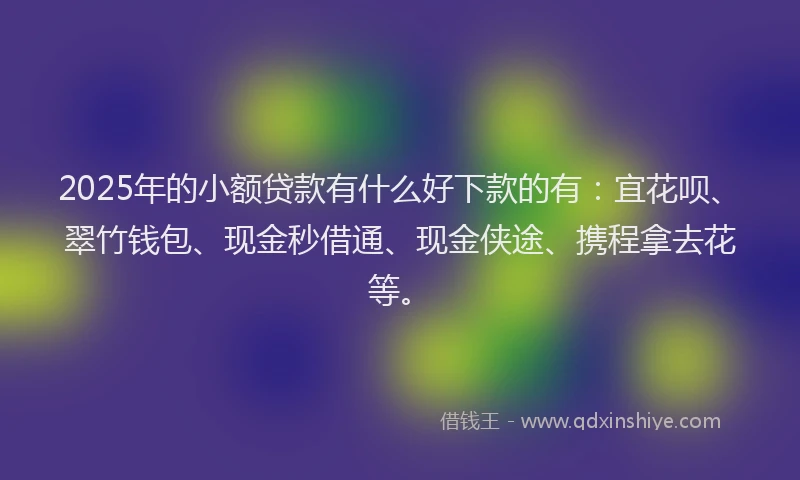 2025年的小额贷款有什么好下款的有：宜花呗、翠竹钱包、现金秒借通、现金侠途、携程拿去花等。