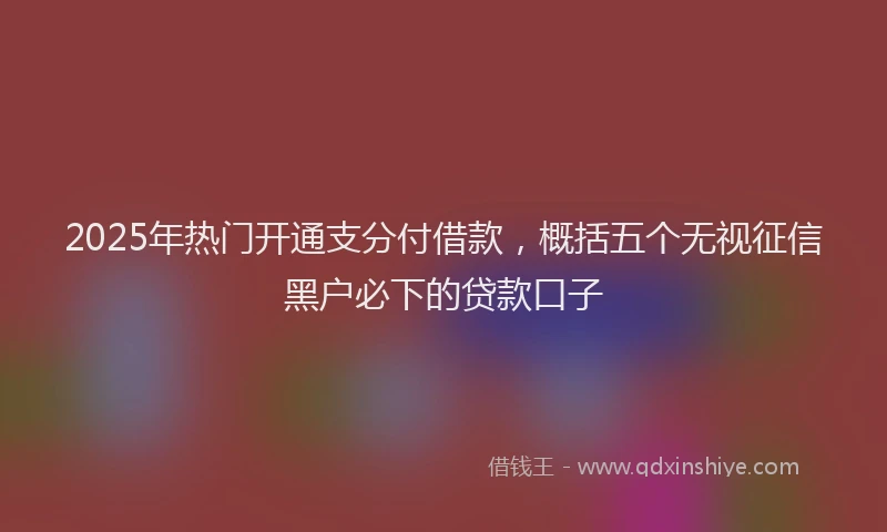 2025年热门开通支分付借款，概括五个无视征信黑户必下的贷款口子