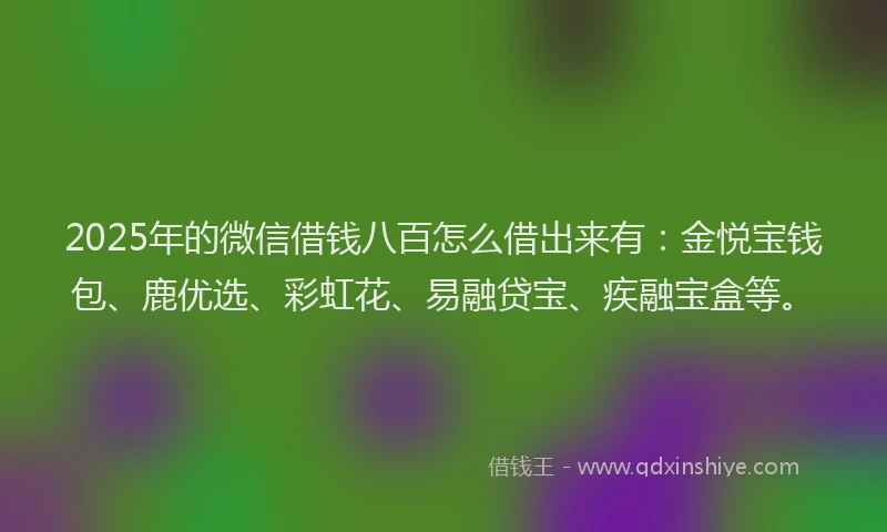 2025年的微信借钱八百怎么借出来有：金悦宝钱包、鹿优选、彩虹花、易融贷宝、疾融宝盒等。