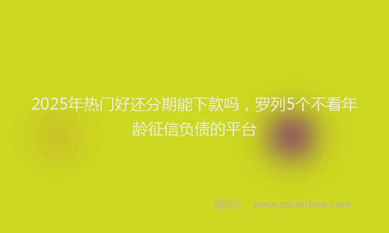 2025年热门好还分期能下款吗，罗列5个不看年龄征信负债的平台