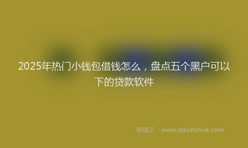 2025年热门小钱包借钱怎么，盘点五个黑户可以下的贷款软件