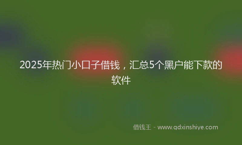 2025年热门小口子借钱，汇总5个黑户能下款的软件