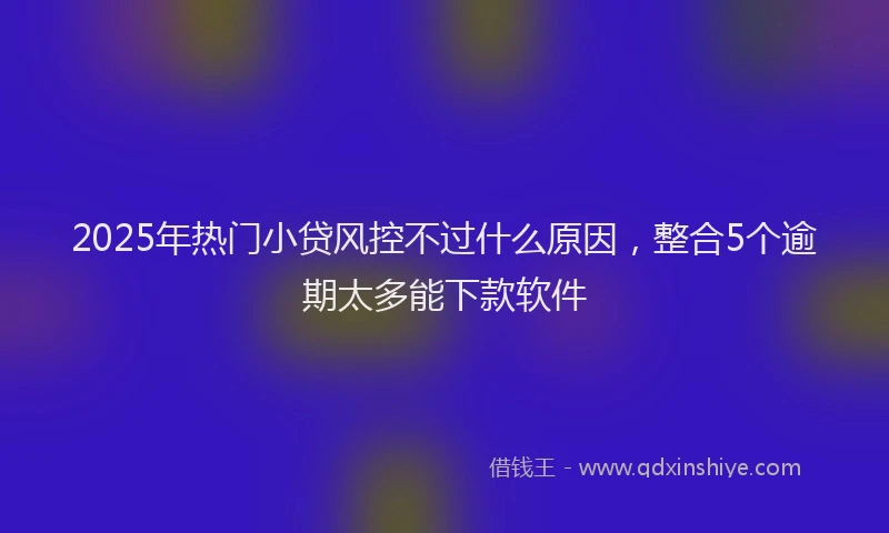 2025年热门小贷风控不过什么原因，整合5个逾期太多能下款软件