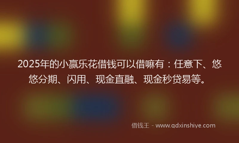 2025年的小赢乐花借钱可以借嘛有：任意下、悠悠分期、闪用、现金直融、现金秒贷易等。