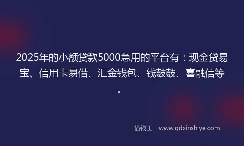 2025年的小额贷款5000急用的平台有：现金贷易宝、信用卡易借、汇金钱包、钱鼓鼓、喜融信等。