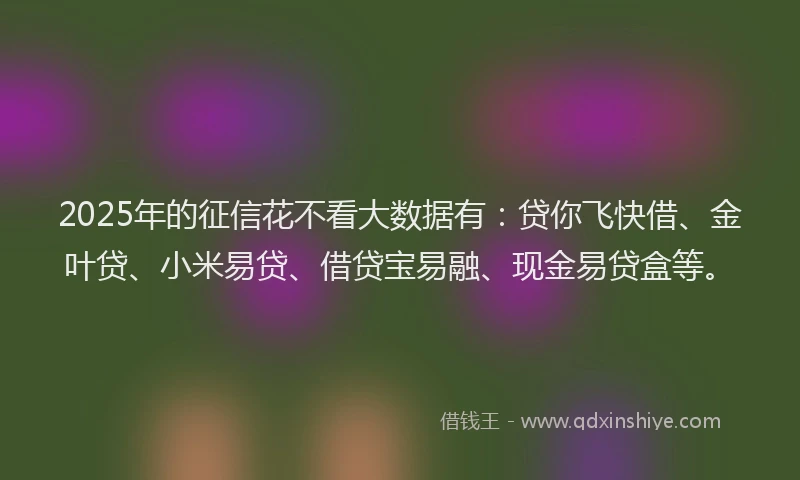 2025年的征信花不看大数据有：贷你飞快借、金叶贷、小米易贷、借贷宝易融、现金易贷盒等。