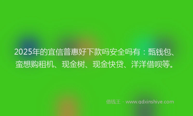 2025年的宜信普惠好下款吗安全吗有：甄钱包、蛮想购租机、现金树、现金快贷、洋洋借呗等。
