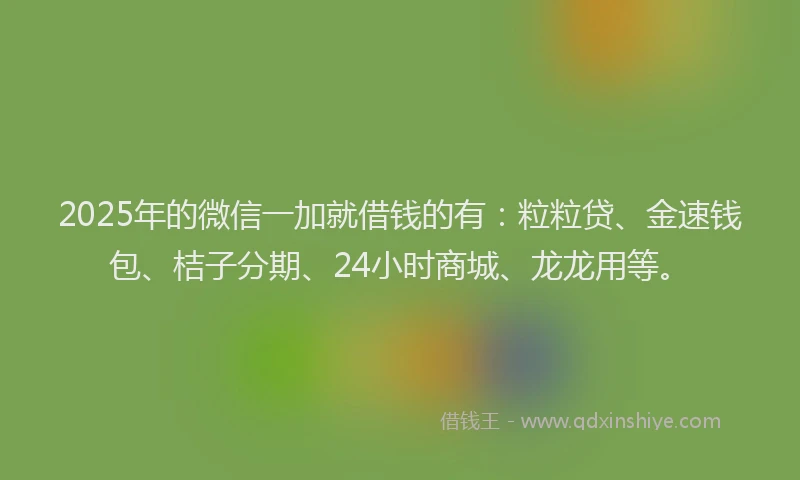2025年的微信一加就借钱的有：粒粒贷、金速钱包、桔子分期、24小时商城、龙龙用等。
