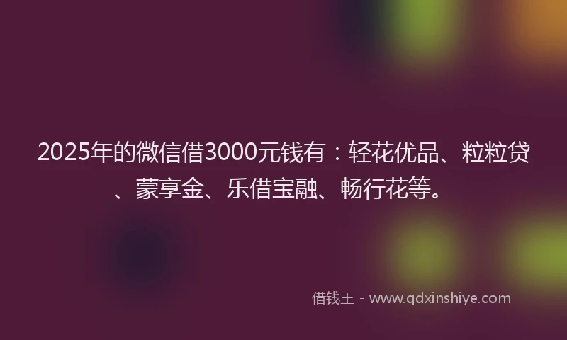 2025年的微信借3000元钱有：轻花优品、粒粒贷、蒙享金、乐借宝融、畅行花等。