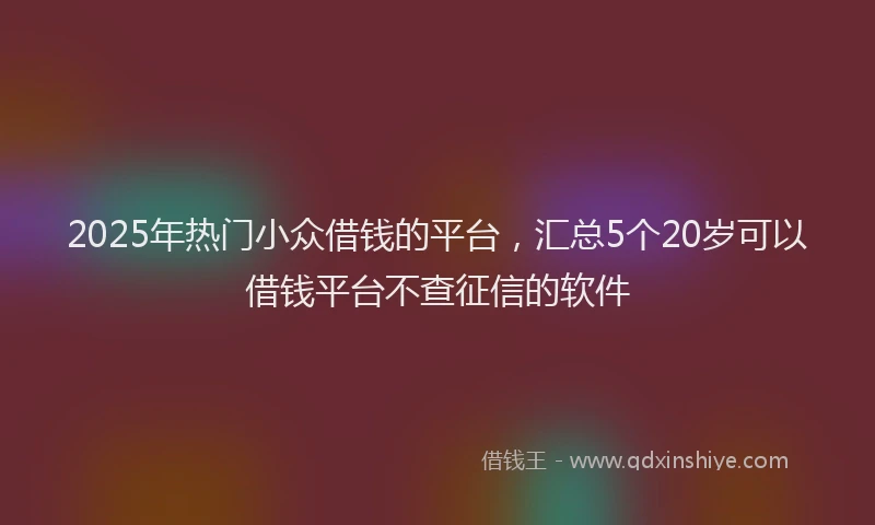 2025年热门小众借钱的平台，汇总5个20岁可以借钱平台不查征信的软件