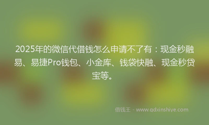 2025年的微信代借钱怎么申请不了有：现金秒融易、易捷Pro钱包、小金库、钱袋快融、现金秒贷宝等。