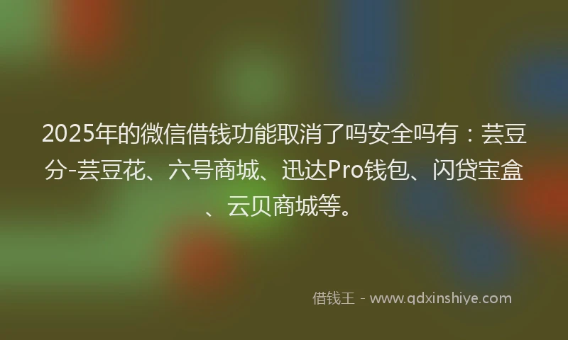 2025年的微信借钱功能取消了吗安全吗有：芸豆分-芸豆花、六号商城、迅达Pro钱包、闪贷宝盒、云贝商城等。