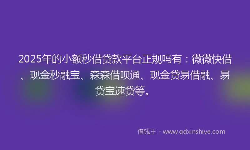 2025年的小额秒借贷款平台正规吗有：微微快借、现金秒融宝、森森借呗通、现金贷易借融、易贷宝速贷等。