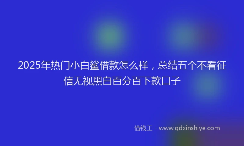 2025年热门小白鲨借款怎么样，总结五个不看征信无视黑白百分百下款口子