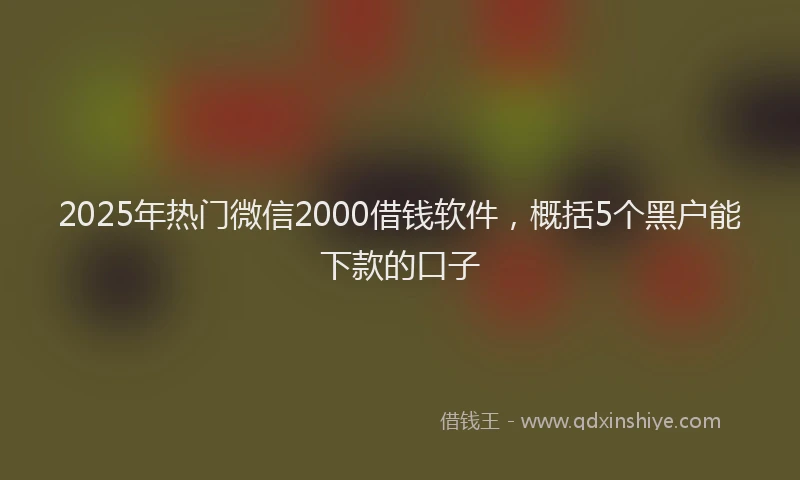 2025年热门微信2000借钱软件，概括5个黑户能下款的口子