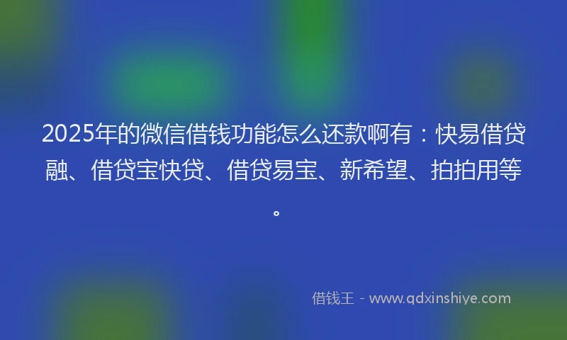 2025年的微信借钱功能怎么还款啊有：快易借贷融、借贷宝快贷、借贷易宝、新希望、拍拍用等。