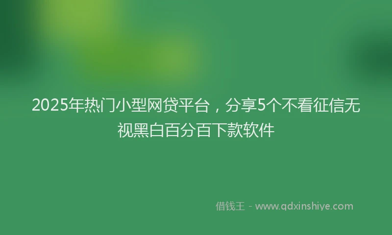 2025年热门小型网贷平台，分享5个不看征信无视黑白百分百下款软件