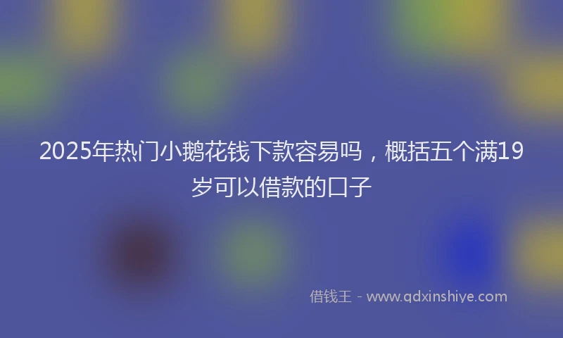 2025年热门小鹅花钱下款容易吗，概括五个满19岁可以借款的口子