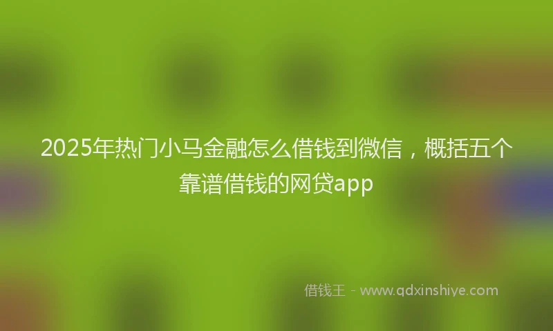 2025年热门小马金融怎么借钱到微信，概括五个靠谱借钱的网贷app