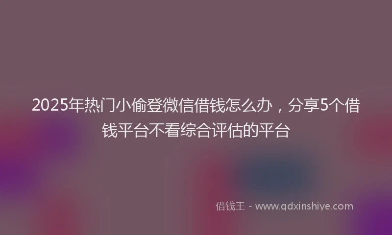 2025年热门小偷登微信借钱怎么办，分享5个借钱平台不看综合评估的平台