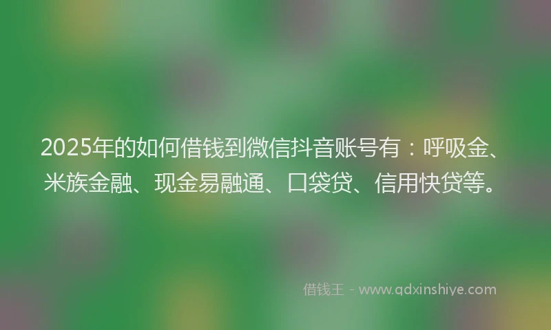 2025年的如何借钱到微信抖音账号有：呼吸金、米族金融、现金易融通、口袋贷、信用快贷等。