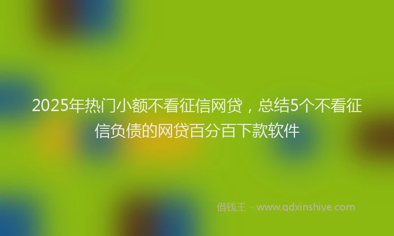 2025年热门小额不看征信网贷，总结5个不看征信负债的网贷百分百下款软件