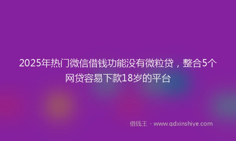 2025年热门微信借钱功能没有微粒贷，整合5个网贷容易下款18岁的平台
