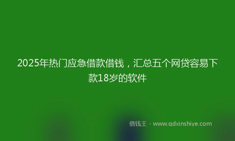 2025年热门应急借款借钱，汇总五个网贷容易下款18岁的软件