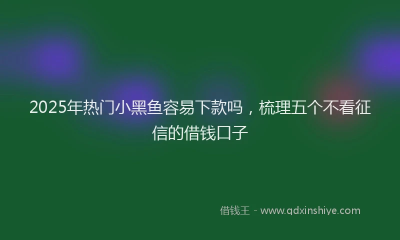 2025年热门小黑鱼容易下款吗，梳理五个不看征信的借钱口子