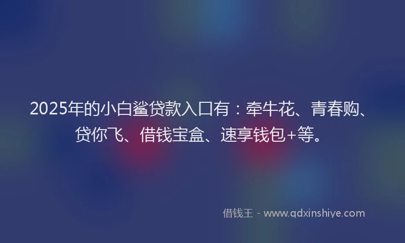 2025年的小白鲨贷款入口有：牵牛花、青春购、贷你飞、借钱宝盒、速享钱包+等。