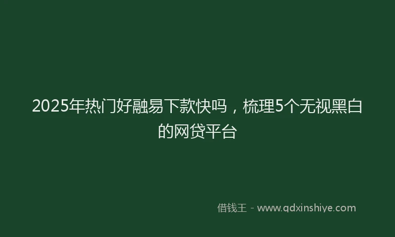 2025年热门好融易下款快吗，梳理5个无视黑白的网贷平台