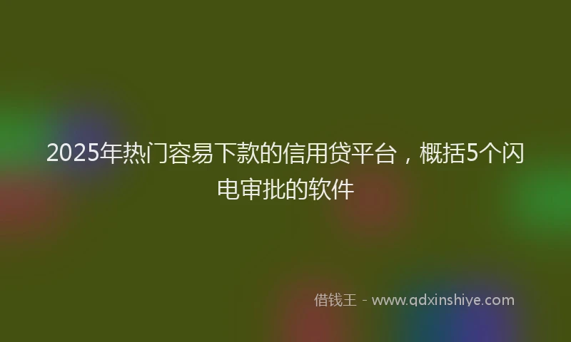 2025年热门容易下款的信用贷平台，概括5个闪电审批的软件