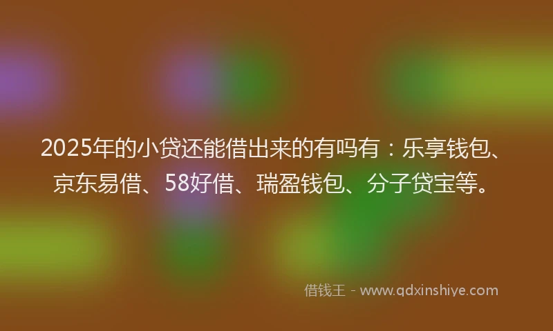 2025年的小贷还能借出来的有吗有：乐享钱包、京东易借、58好借、瑞盈钱包、分子贷宝等。