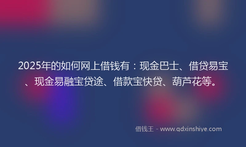 2025年的如何网上借钱有：现金巴士、借贷易宝、现金易融宝贷途、借款宝快贷、葫芦花等。