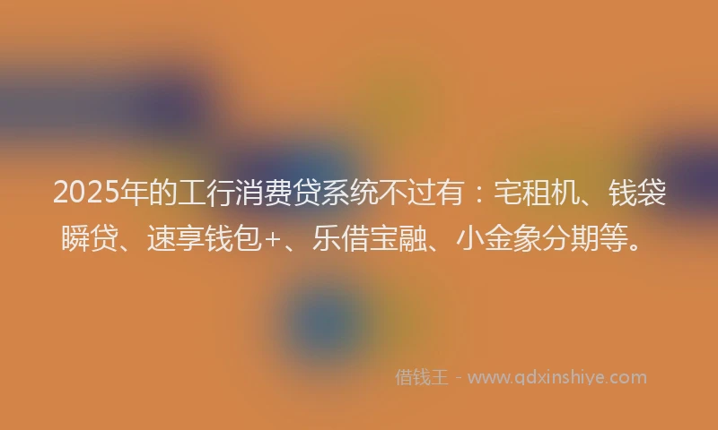 2025年的工行消费贷系统不过有：宅租机、钱袋瞬贷、速享钱包+、乐借宝融、小金象分期等。