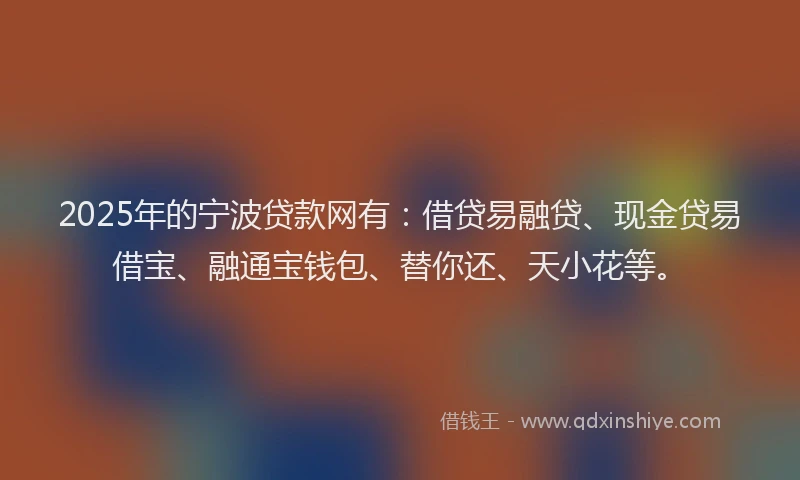 2025年的宁波贷款网有：借贷易融贷、现金贷易借宝、融通宝钱包、替你还、天小花等。