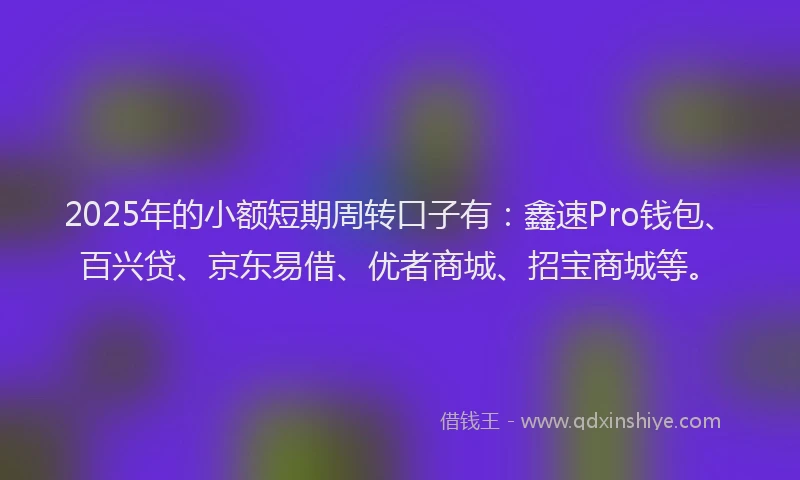 2025年的小额短期周转口子有：鑫速Pro钱包、百兴贷、京东易借、优者商城、招宝商城等。